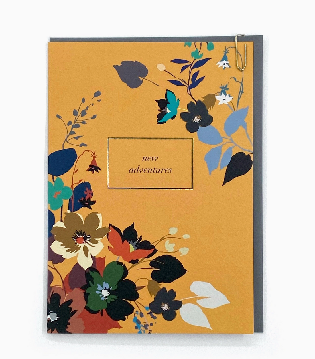Pavilion 'New Adventures' Illustrated Greetings Card