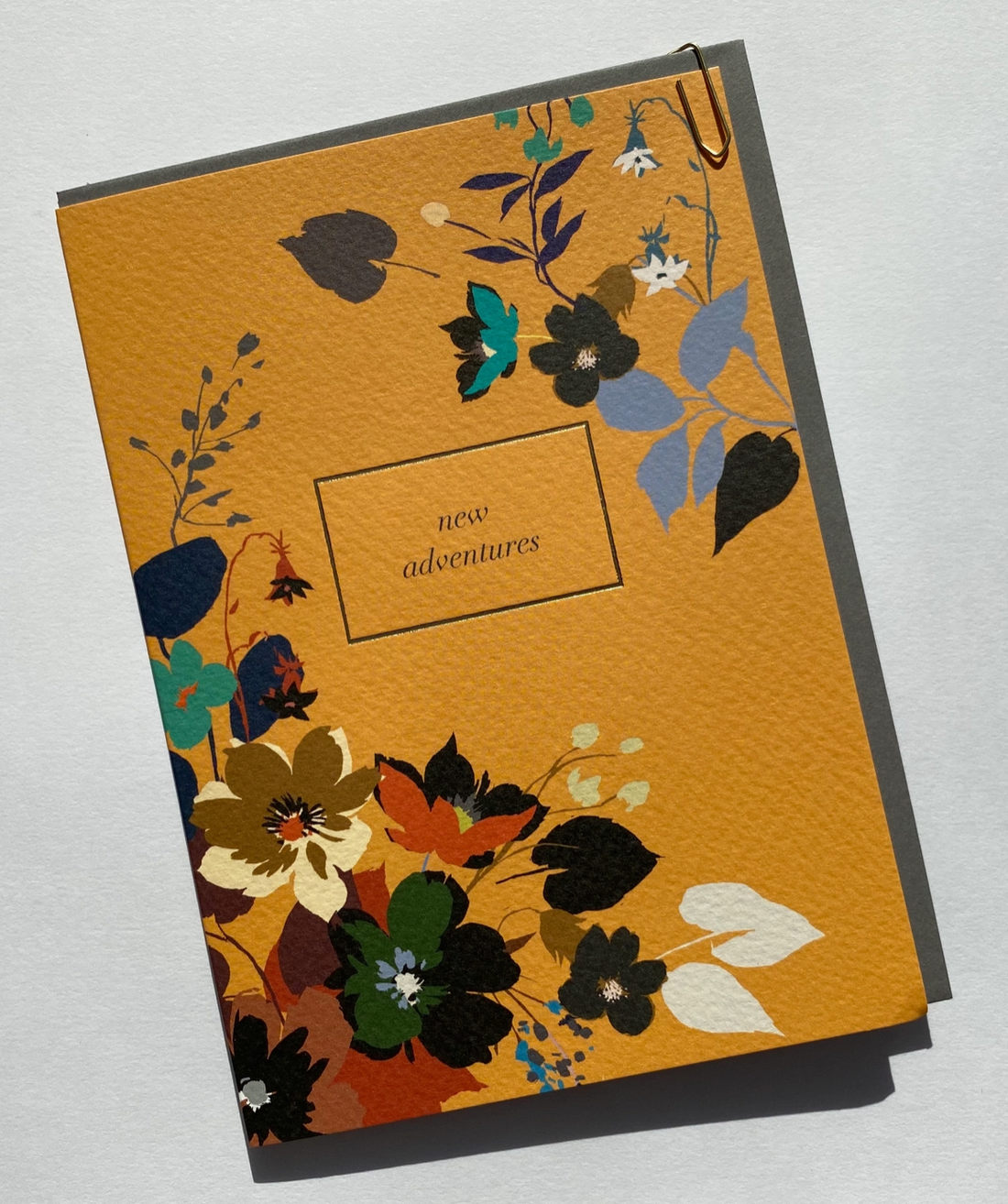 Pavilion 'New Adventures' Illustrated Greetings Card