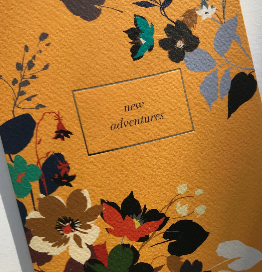 Pavilion 'New Adventures' Illustrated Greetings Card