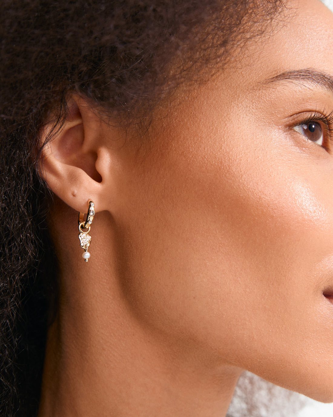SLOAN Hoop Crystal Detail Earrings in Gold