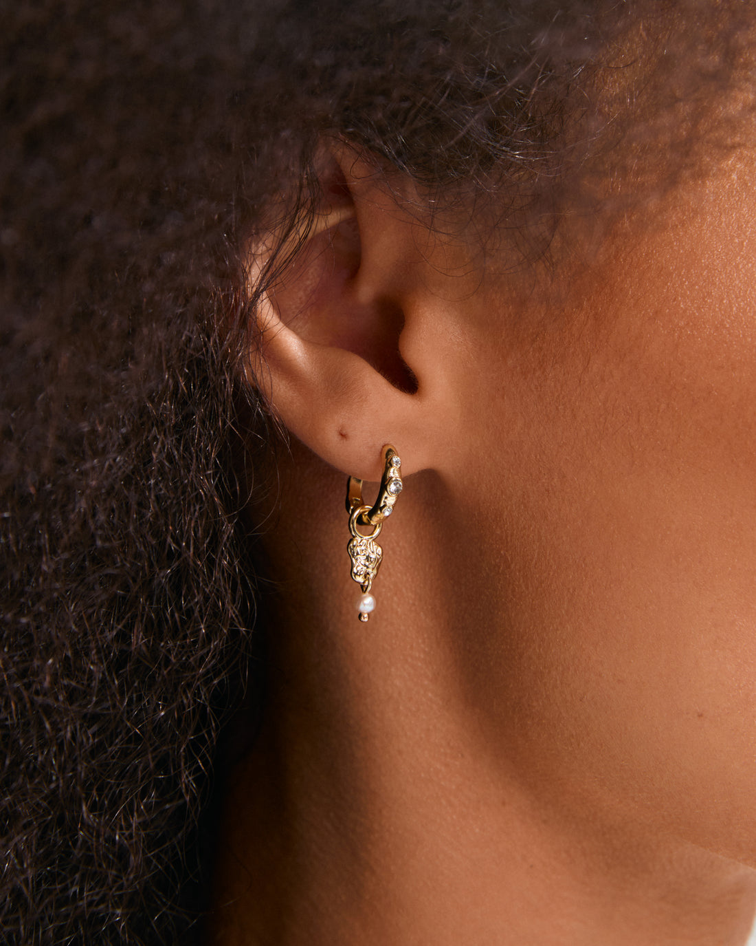 SLOAN Hoop Crystal Detail Earrings in Gold