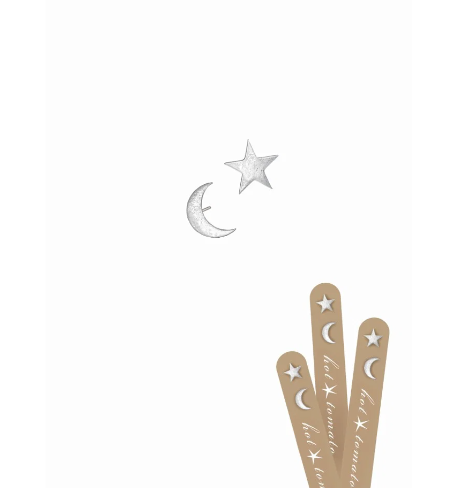 Moon and Stars Stud Earrings in Silver - LG004