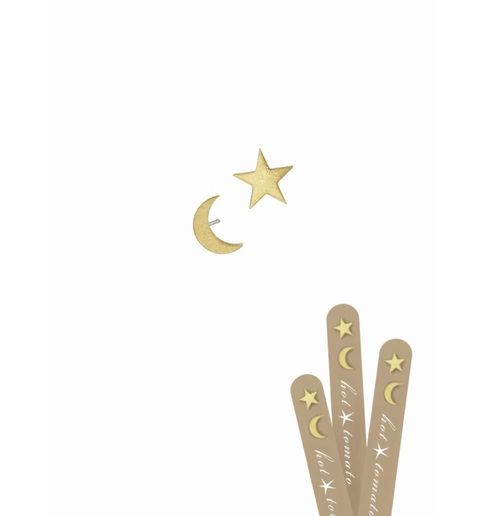 Moon and Stars Stud Earrings in Gold - LG003